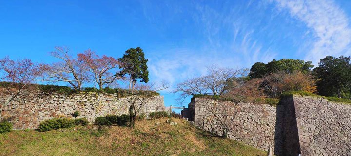 秋の篠山城